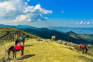 Đức Thiên Không đáp lại tin đồn của Bái Nhân: Chúng tôi hoàn toàn tin tưởng đội ngũ phóng viên nghiêm túc